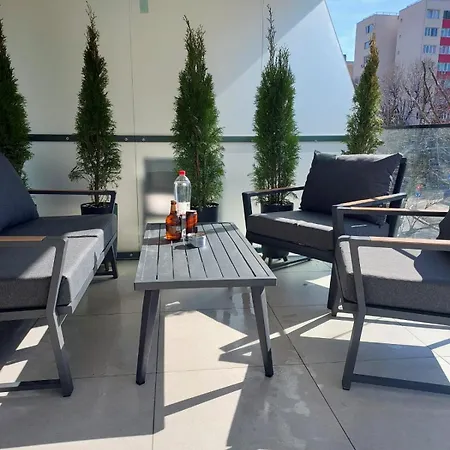 The Oasis *